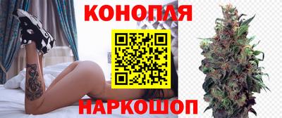хмурый Заводоуковск