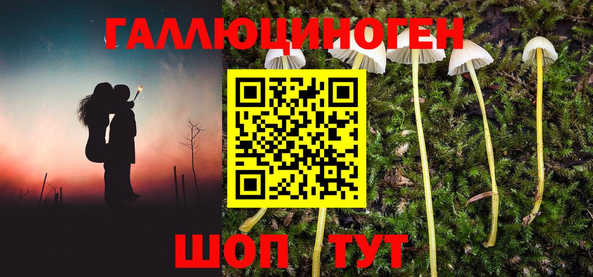 Псилоцибиновые грибы Magic Shrooms Лыткарино