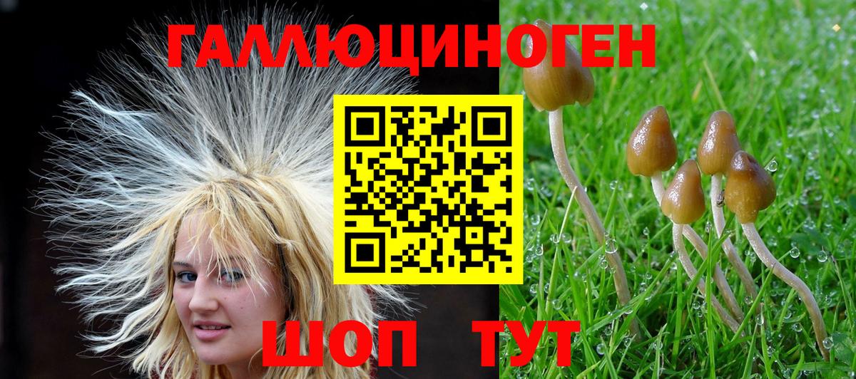 Галлюциногенные грибы Psilocybine cubensis  Галлюциногенные грибы MAGIC MUSHROOMS  Вход с VPN  Лыткарино 